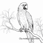 Cuban Macaw Coloring Pages for History Lovers 1