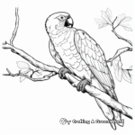 Cuban Macaw Coloring Pages for History Lovers 4