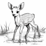 Cute Baby Deer Drinking Water Coloring Pages 1
