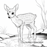 Cute Baby Deer Drinking Water Coloring Pages 2
