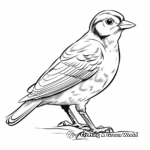 Cute Downy Woodpecker Coloring Sheets for Kids 1