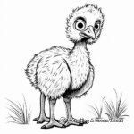 Cute Emu Chick Coloring Pages 3