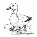 Cute Loon Chick Coloring Pages 4