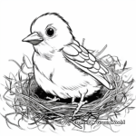 Cute Sparrow Nest Coloring Pages 1