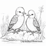 Cutely hatched Kookaburra Chicks Coloring Pages 3
