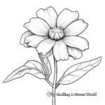 Dainty Dwarf Zinnia Coloring Pages for Kids 2