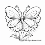 Daisy and Butterfly Coloring Pages 4