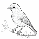 Daring Rufous-Backed Robin Coloring Pages 3