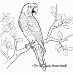 Dazzling Scarlet Macaw Coloring Sheets 1
