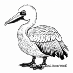 Decorative Australian Pelican Coloring Pages 1