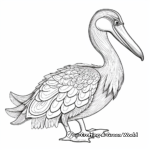 Decorative Australian Pelican Coloring Pages 2