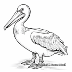 Decorative Australian Pelican Coloring Pages 4
