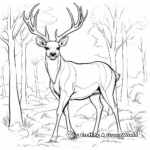 Deer Antler in the Wild: Forest-Scene Coloring Pages 1