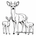 Deer Family Coloring Pages: Buck, Doe, and Fawn 3