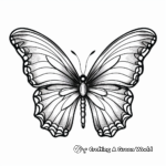 Delicate Monarch Butterfly Coloring Pages 1