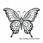 Delicate Monarch Butterfly Coloring Pages 2