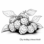 Delicious Blackberry Fruit Coloring Pages 4