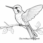 Delightful Black-Chinned Hummingbird Coloring Pages 4