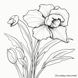 Delightful Daffodil Fall Coloring Pages 2