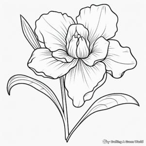 Delightful Daffodil Fall Coloring Pages 4