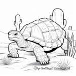 Delightful Desert Tortoise Coloring Pages 1