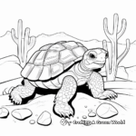 Delightful Desert Tortoise Coloring Pages 3
