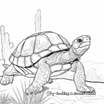 Delightful Desert Tortoise Coloring Pages 4