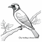 Detailed Acorn Woodpecker Coloring Pages for Artists 2