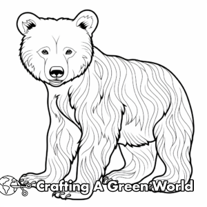 Black Bear Coloring Pages - Free &amp; Printable!