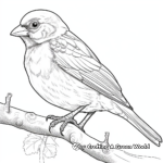 Detailed American Tree Sparrow Coloring Pages 3