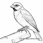 Detailed American Tree Sparrow Coloring Pages 4