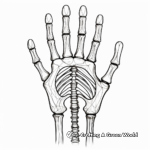 Detailed Anatomical Skeleton Hand Coloring Pages 1
