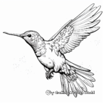 Detailed Anna's Hummingbird Coloring Sheets 1
