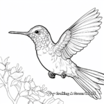 Detailed Anna's Hummingbird Coloring Sheets 2