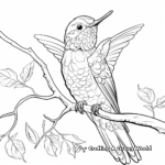 Detailed Anna's Hummingbird Coloring Sheets 4