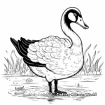 Detailed Australian Black Swan Coloring Pages 2