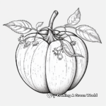 Detailed Avocado Anatomy Coloring Pages 1