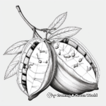 Detailed Avocado Anatomy Coloring Pages 4