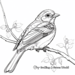 Detailed Baltimore Oriole Coloring Pages 1