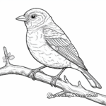 Detailed Baltimore Oriole Coloring Pages 3