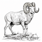 Detailed Bighorn Ram Coloring Pages for Adults 1