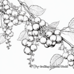Detailed Blackberry Vine Coloring Sheets 1