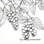 Detailed Blackberry Vine Coloring Sheets 3