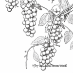 Detailed Blackberry Vine Coloring Sheets 4