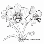 Detailed Blue Banded Bee and Orchid Coloring Pages For Adults 4