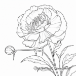 Detailed Botanical Style Peony Coloring Pages 2