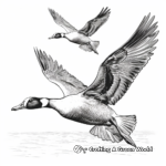 Detailed Canada Geese in Flight Coloring Pages for Adults 1