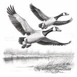Detailed Canada Geese in Flight Coloring Pages for Adults 4