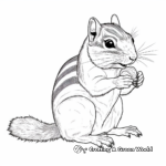 Detailed Chipmunk Anatomy Coloring Pages 1