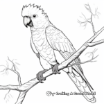 Detailed Cockatoo Parrot Coloring Pages for Adults 3
